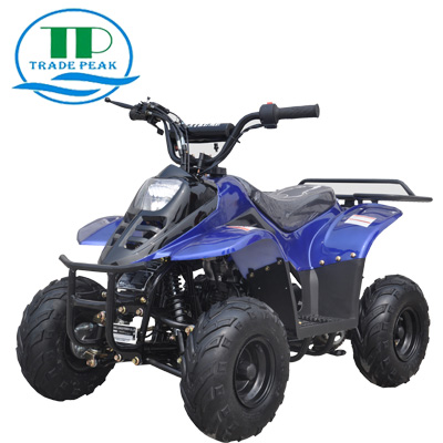 Atv Cart 110c